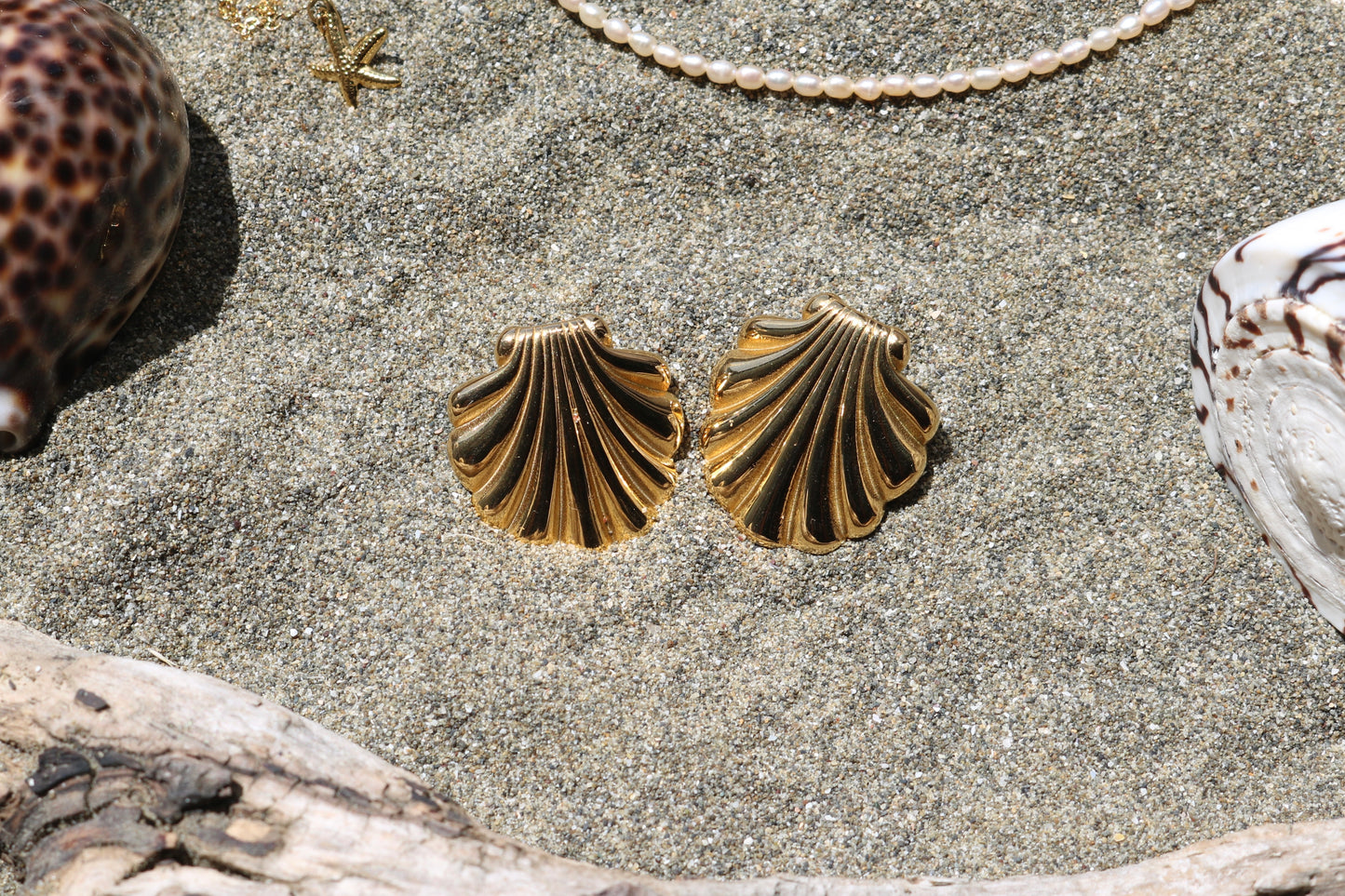 Giant Clamshell Earrings