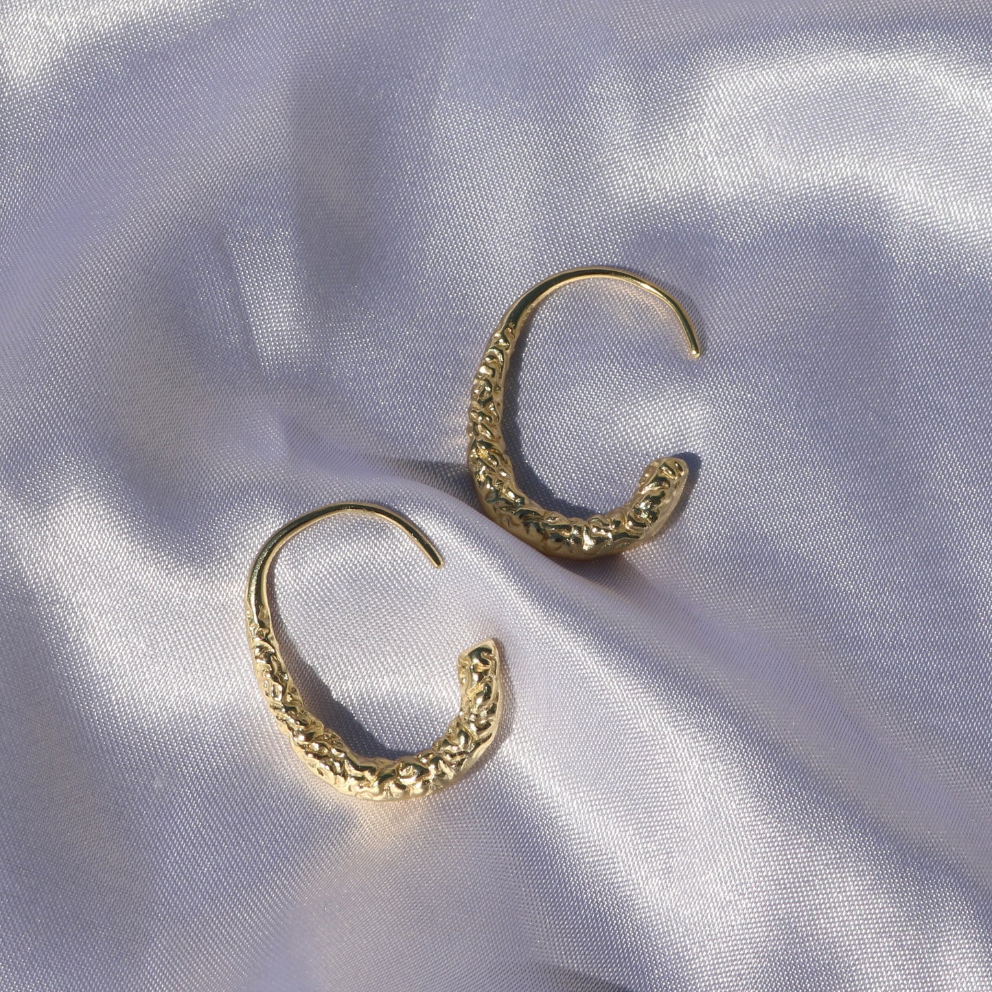 Meteorite Hook Earrings