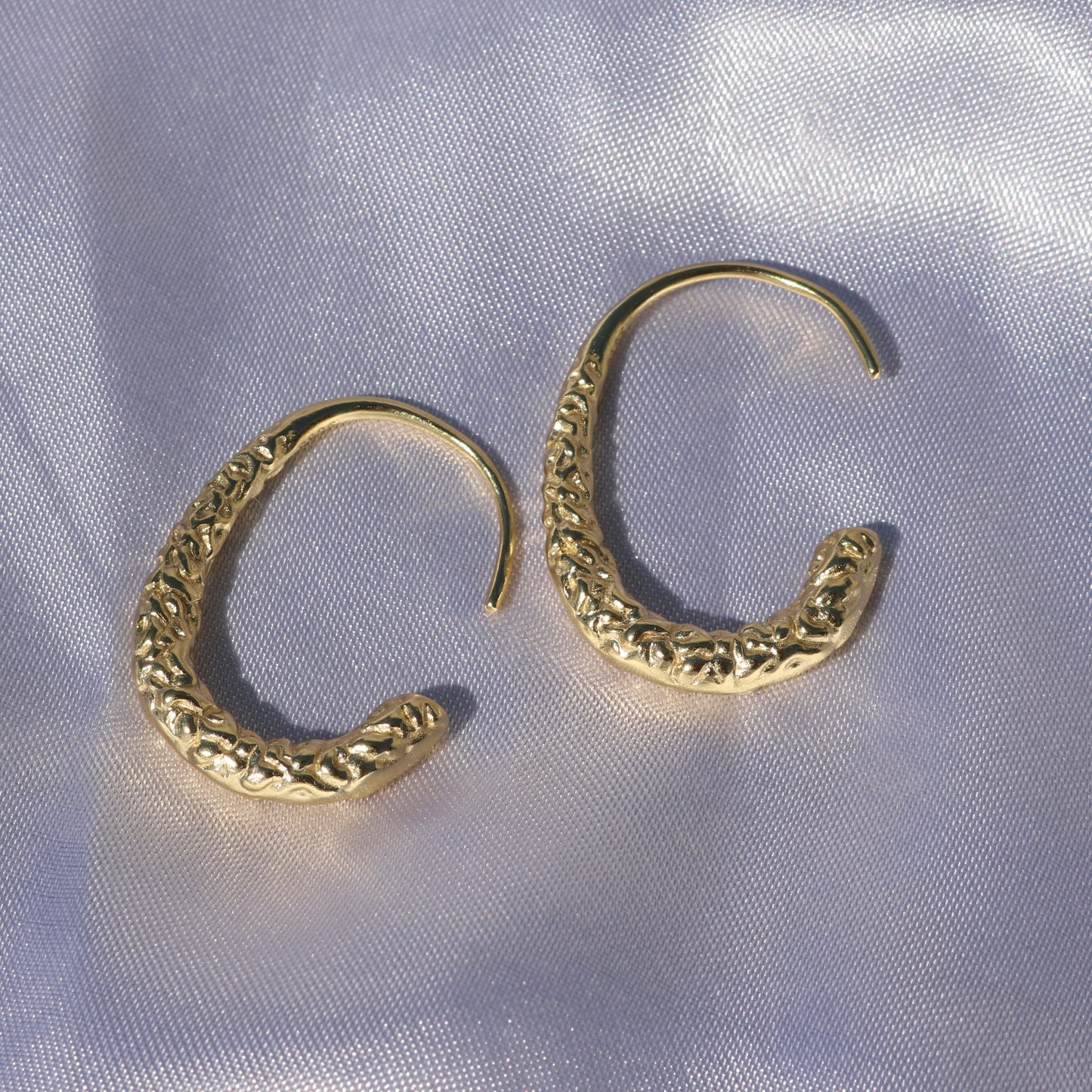 Meteorite Hook Earrings